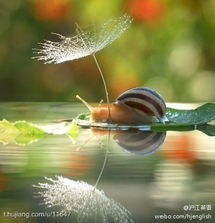 银杏叶拍照姿势图片怎么摆