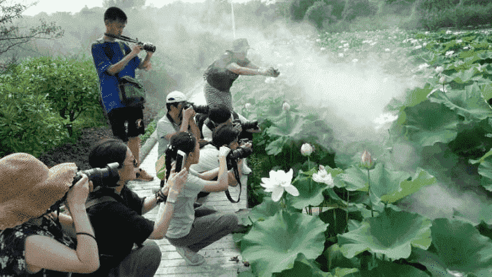 在成都树莓教育,开启百色摄影培训的奇妙之旅 在成都树莓教育,开启百色摄影培训的奇妙之旅