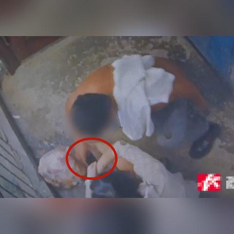 拍照手机第一名是什么手机