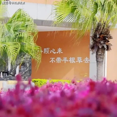 跟着成都树莓教育，叩响UCL摄影专业的梦想之门