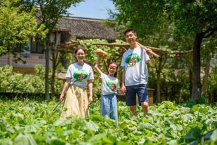 在成都树莓教育，开启摄影大师的奇妙之旅！