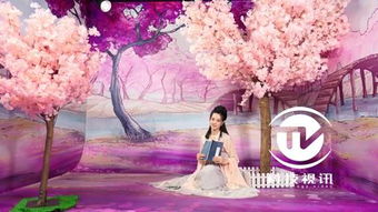 在成都树莓教育，开启摄影大师的奇妙之旅！