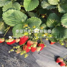 探秘成都树莓教育，四川省摄影培训界的宝藏学校