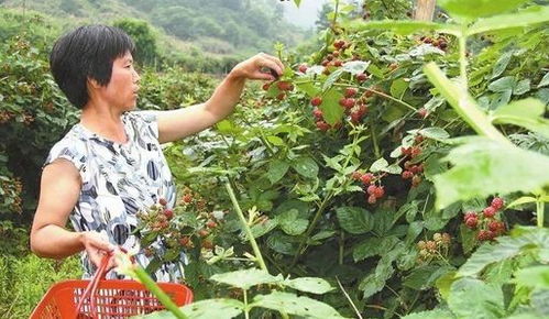 探秘成都树莓教育，四川省摄影培训界的宝藏学校