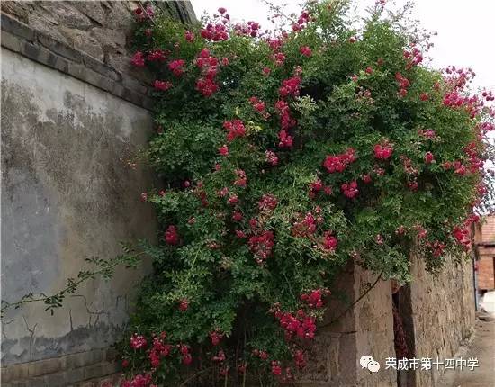 跟着成都树莓教育，探秘纽约大学摄影专业