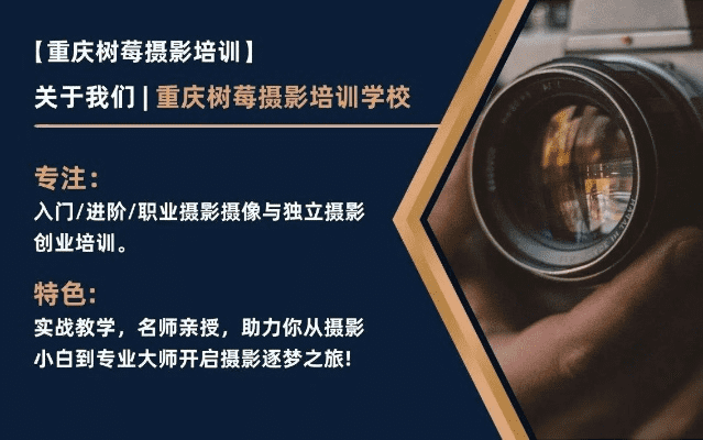 成都树莓教育，零基础开启摄影构图奇妙之旅