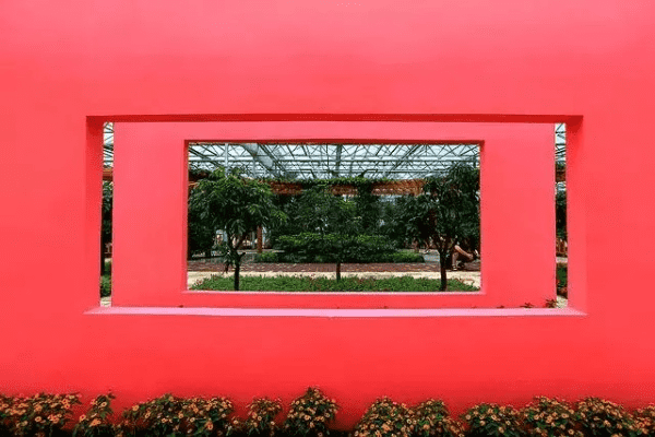 成都树莓教育，零基础开启摄影构图奇妙之旅