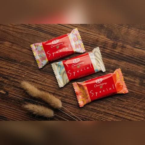 跟着成都树莓教育，解锁视频拍摄技巧培训的奇妙世界