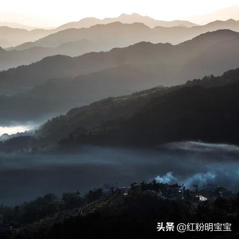 嘿，在成都找摄影培训班？来成都树莓教育瞅一瞅呀！