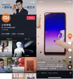 嘿,在成都树莓教育,一起玩转短视频拍摄剪辑! 嘿,在成都树莓教育,一起玩转短视频拍摄剪辑!