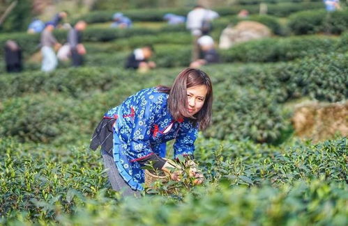 在成都树莓教育，解锁四川人像摄影培训的奇妙之旅