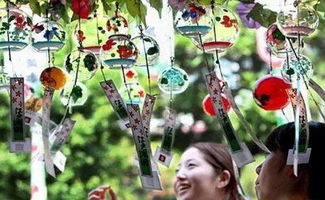 嘿,来成都树莓教育的电影摄影师培训班,开启光影梦幻之旅! 嘿,来成都树莓教育的电影摄影师培训班,开启光影梦幻之旅!