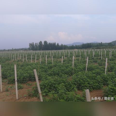 嘿,来成都树莓教育开启摄影奇妙之旅! 嘿,来成都树莓教育开启摄影奇妙之旅!