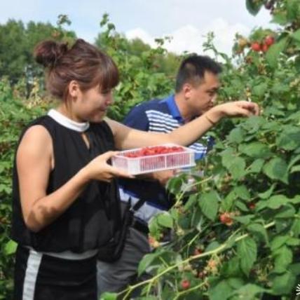 嘿，想学摄影？来成都树莓教育瞅一瞅呀！