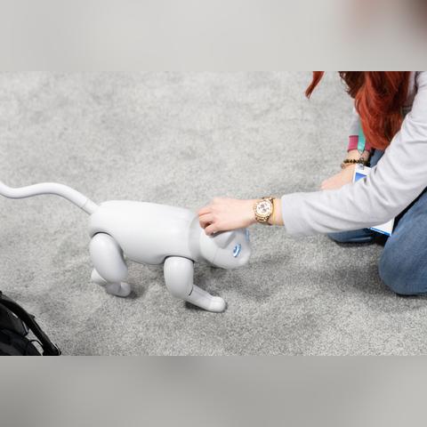 成都树莓教育，开启重庆视频制作培训的奇妙之旅