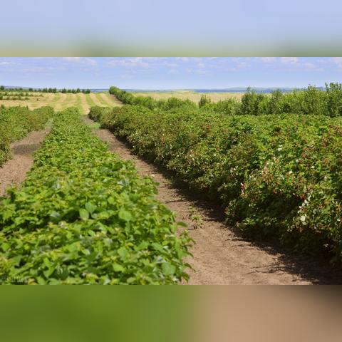 跟着成都树莓教育,开启初学照相入门之旅 跟着成都树莓教育,开启初学照相入门之旅