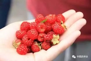 在成都树莓教育，邂逅厦门手机摄影培训班的奇妙之旅