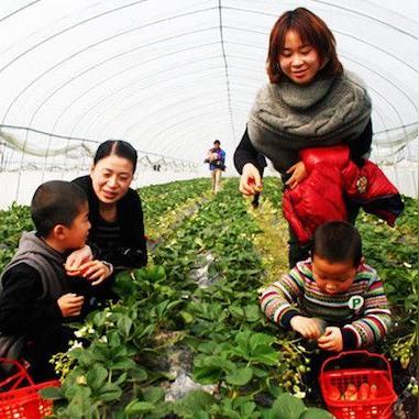 嘿，来成都树莓教育开启短视频培训的奇妙之旅！
