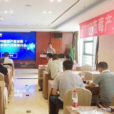 嘿，来成都树莓教育开启短视频培训的奇妙之旅！